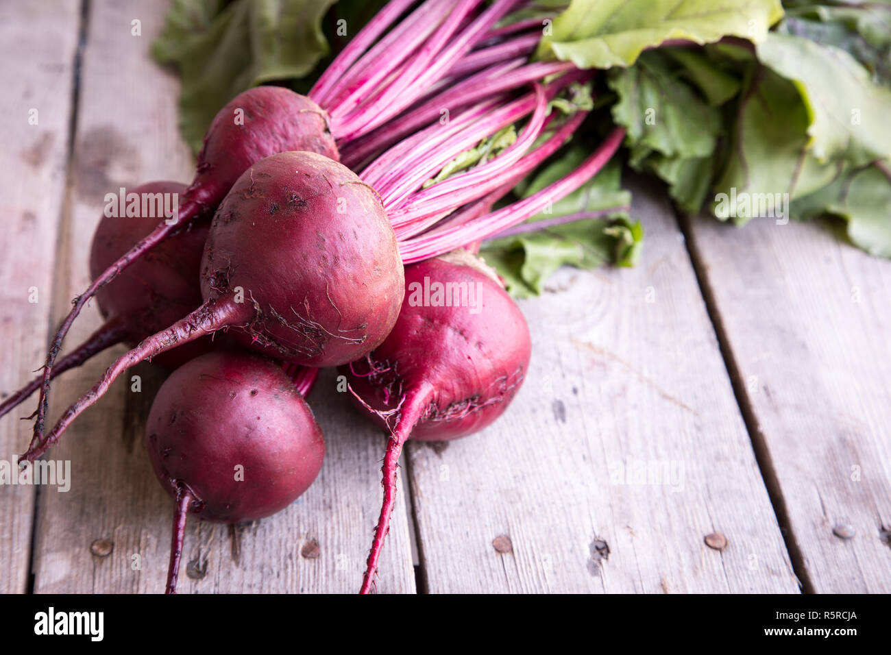 Red Beetroot with herbage green leaves on rustic background. Organic Beetroot Stock Photo