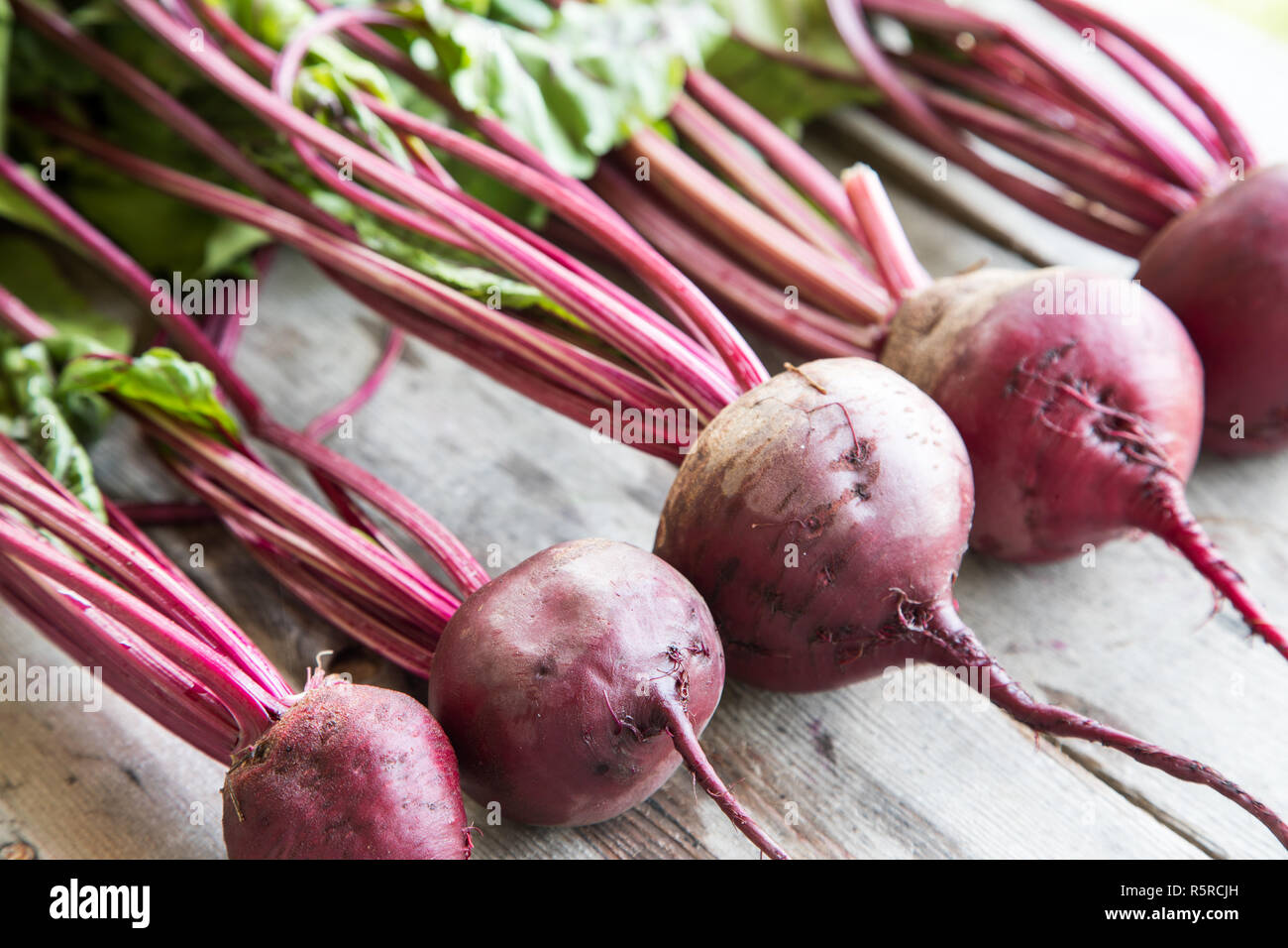 Red Beetroot with herbage green leaves on rustic background. Organic Beetroot Stock Photo