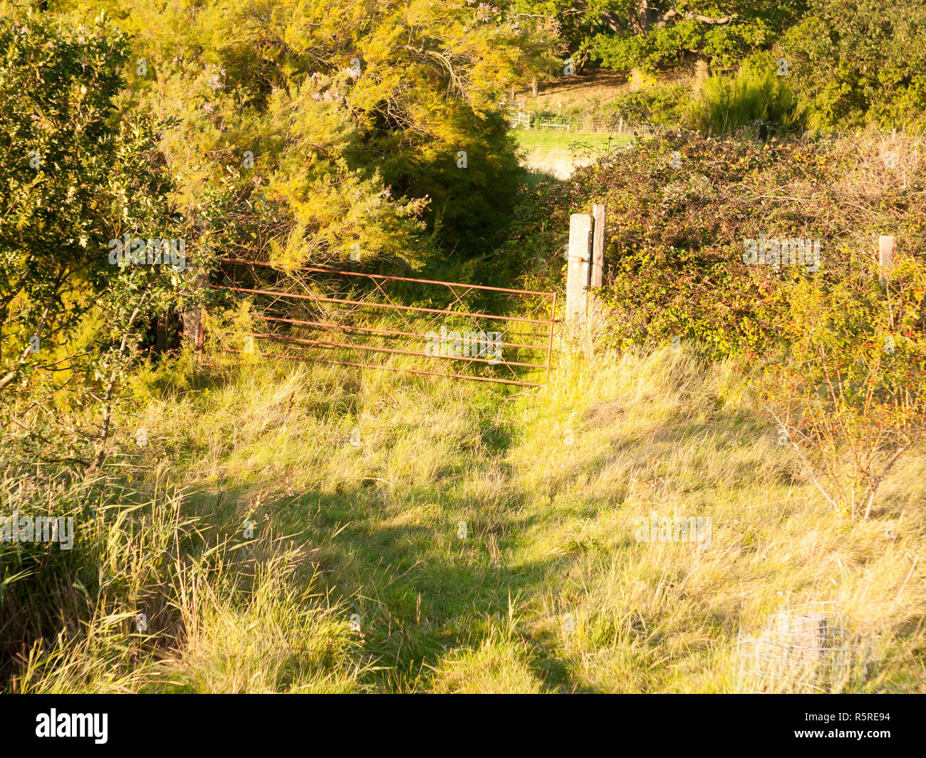 sunset light over a country grass land path scene with rusty old gate to farm in distance Stock Photo