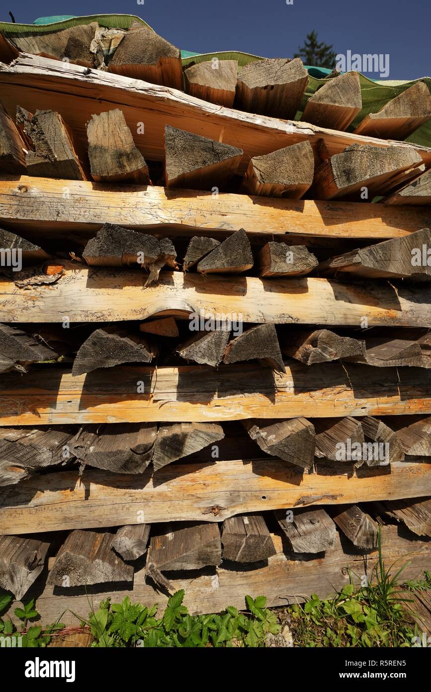 woodpile on a meadow Stock Photo