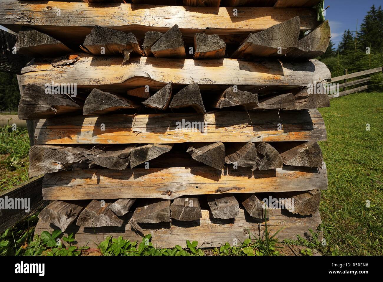 woodpile on a meadow Stock Photo