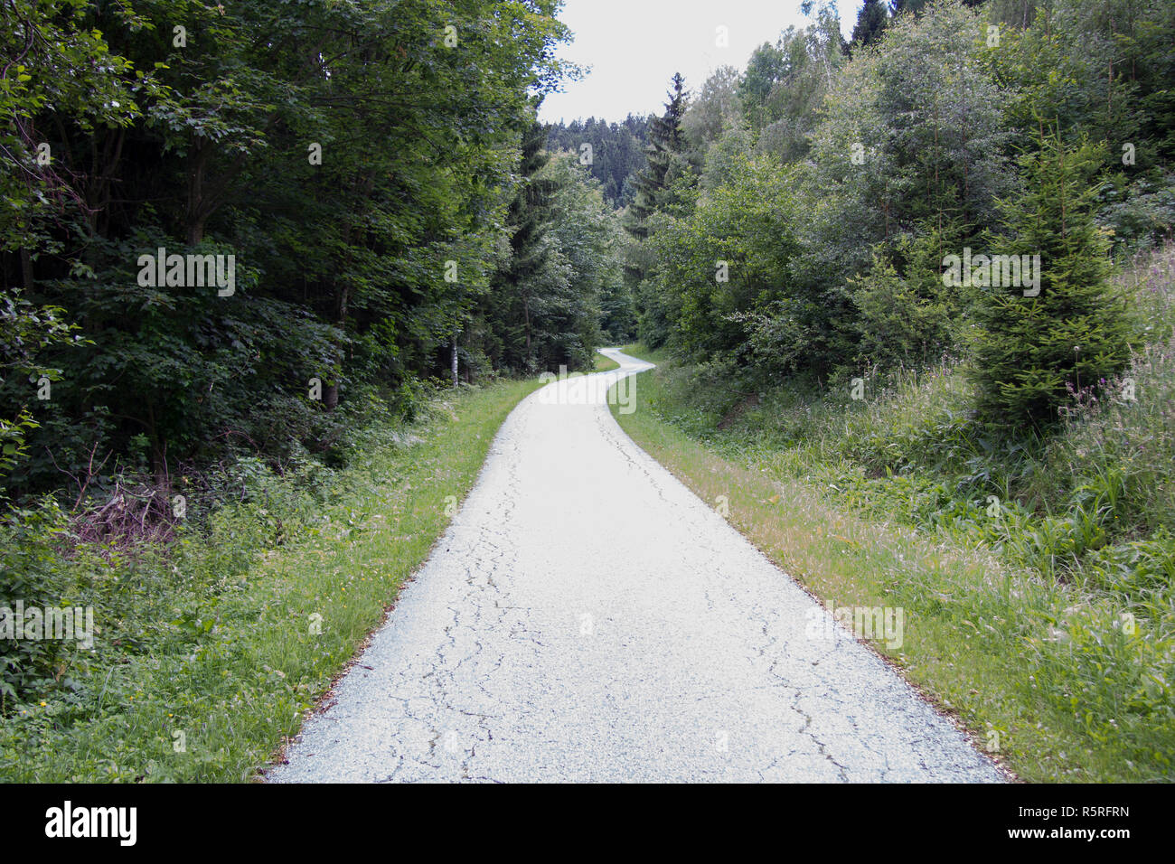 Road to woods hi-res stock photography and images - Alamy