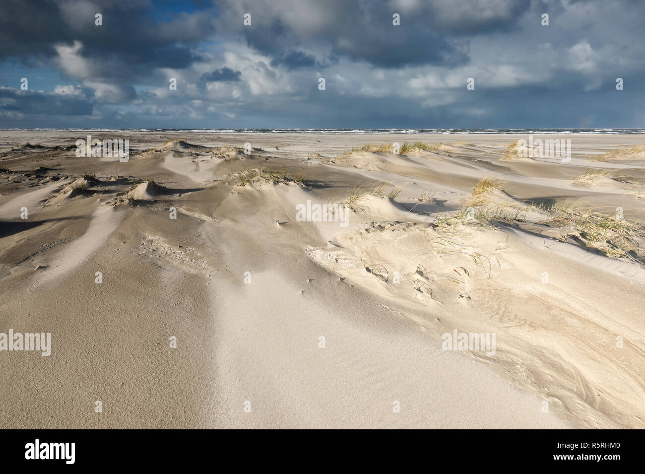 sand dunes on North face coast, Holland Stock Photo - Alamy