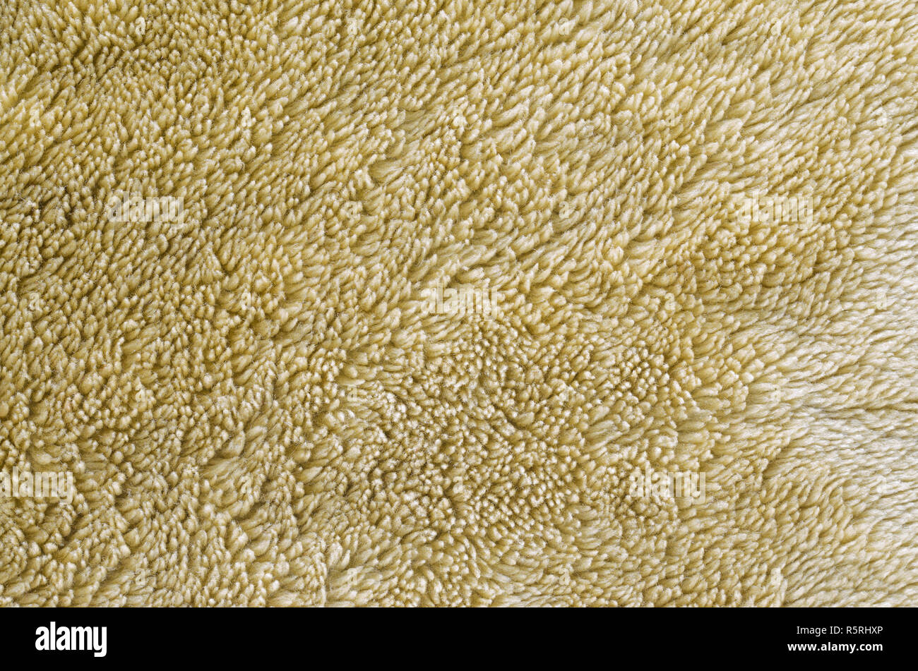 Faux fur texture brownish yellow. Empty blank background Stock Photo