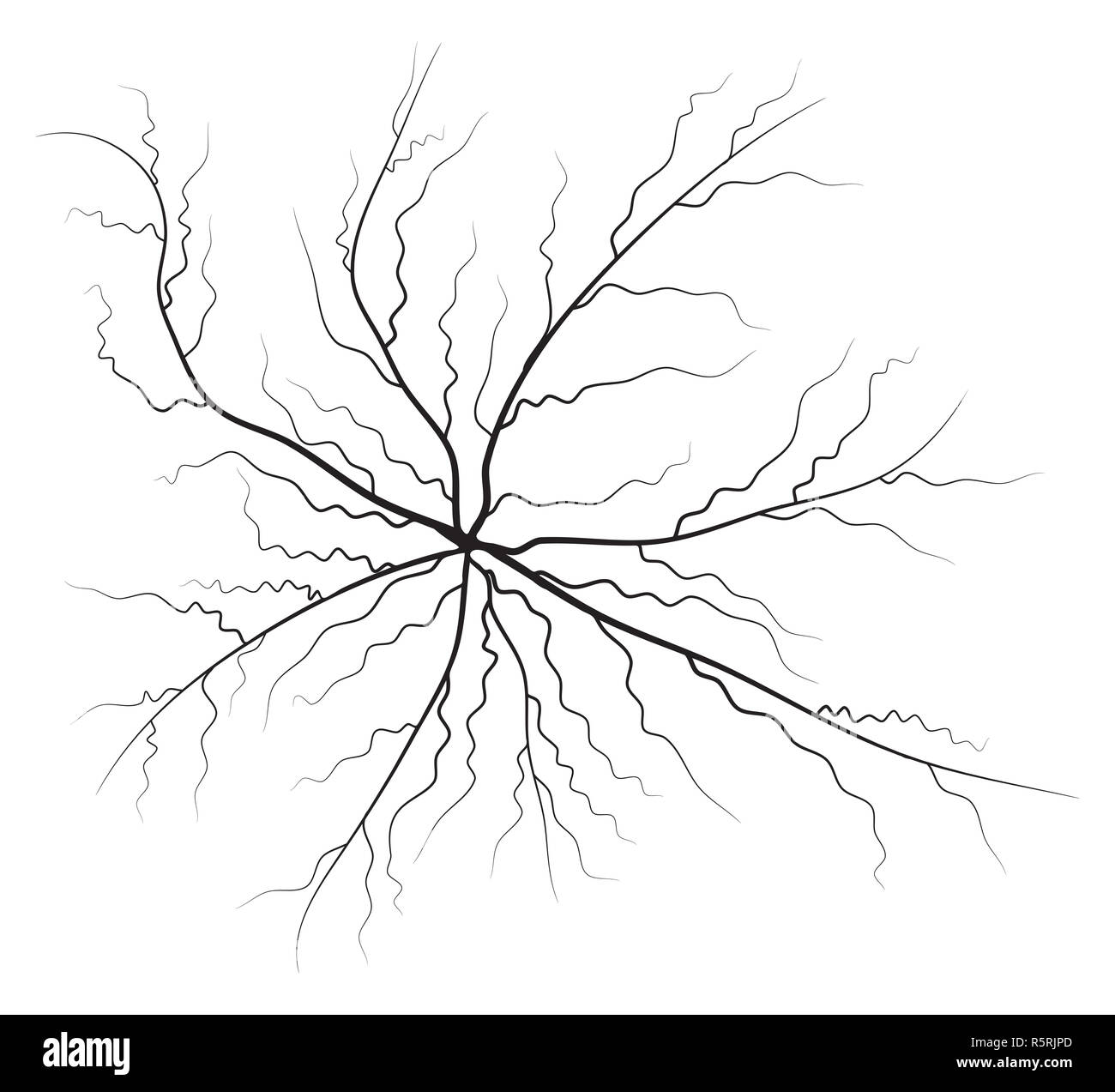 Human vein, vessel silhouette vector symbol icon design Stock Photo - Alamy