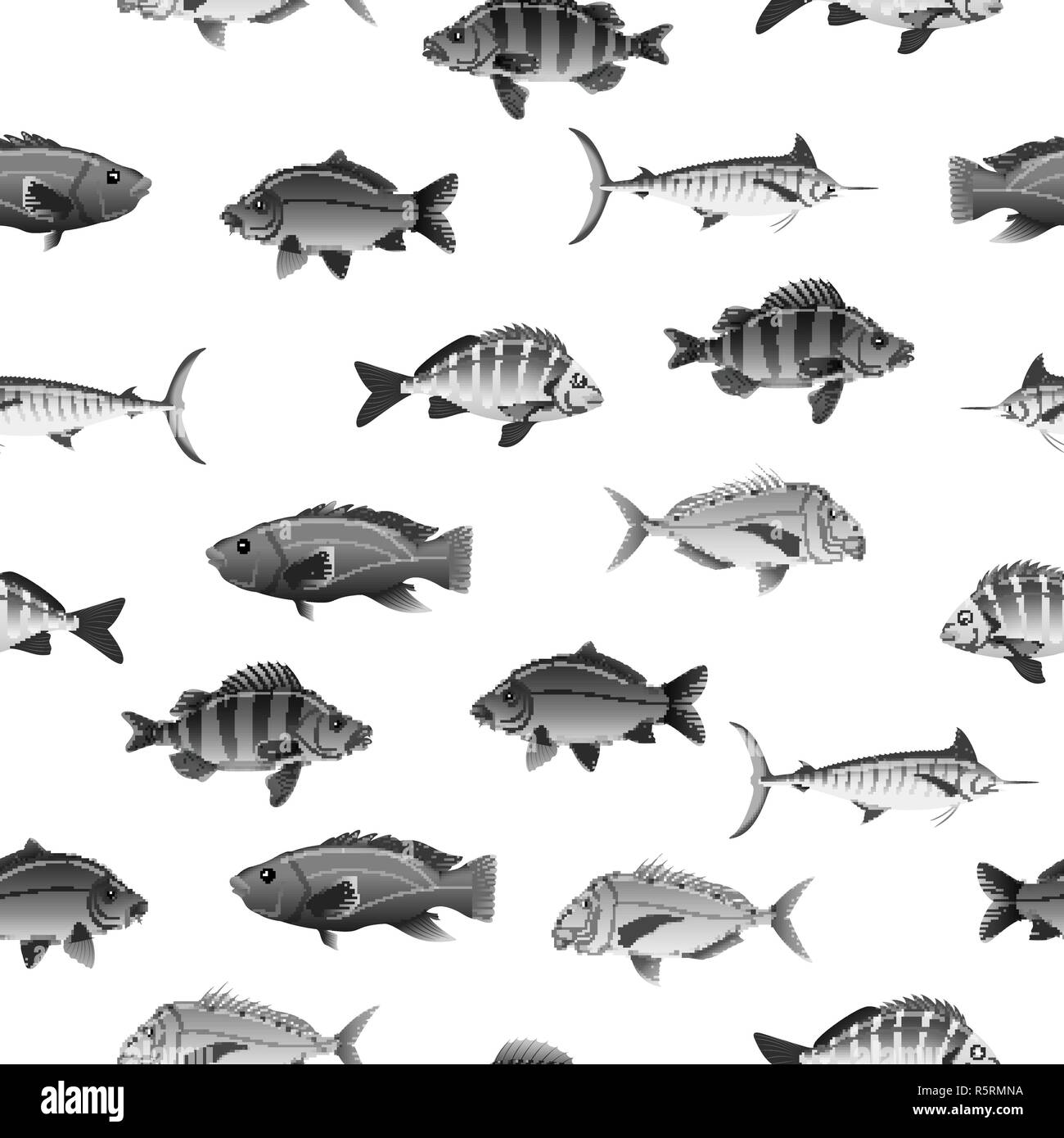 Australian fish variety black and white seamless pattern Stock Vector