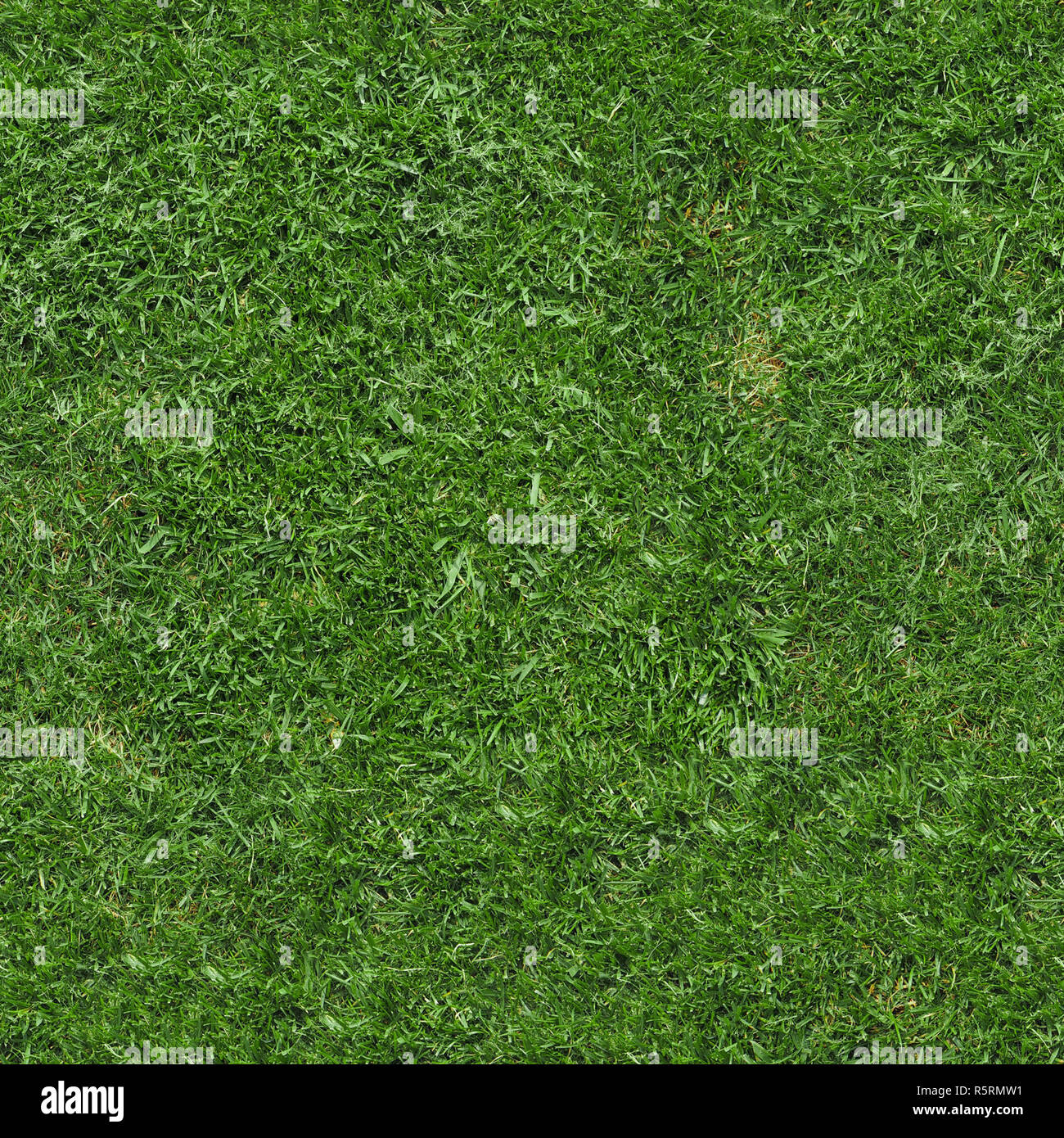 Seamless Green Grass Texture Background Stock Photo Alamy Seamless Green Grass Texture Background Stock Photo Alamy