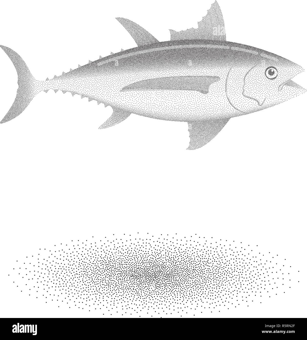 Albacore tuna fish with stipple effect in black and white Stock Vector