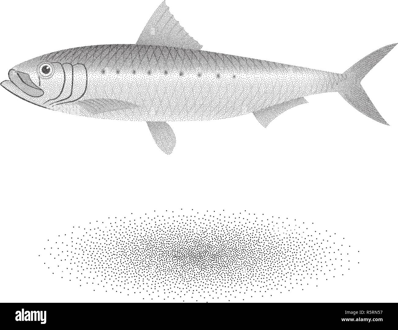 Sardine Pilchard with stipple effect in black and white Stock Vector