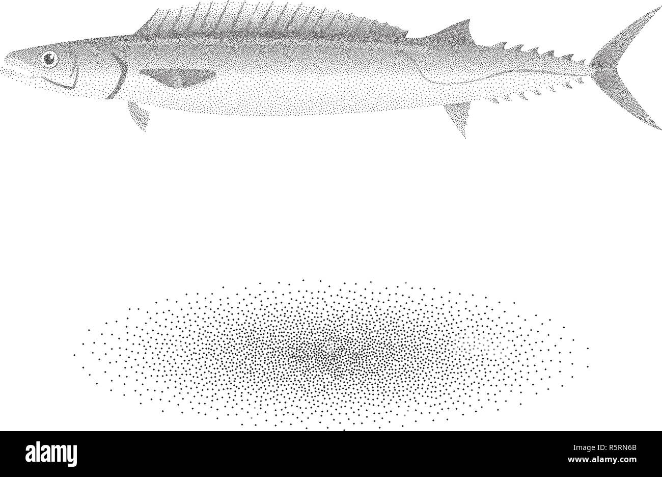Barracouta fish with stipple effect in black and white Stock Vector
