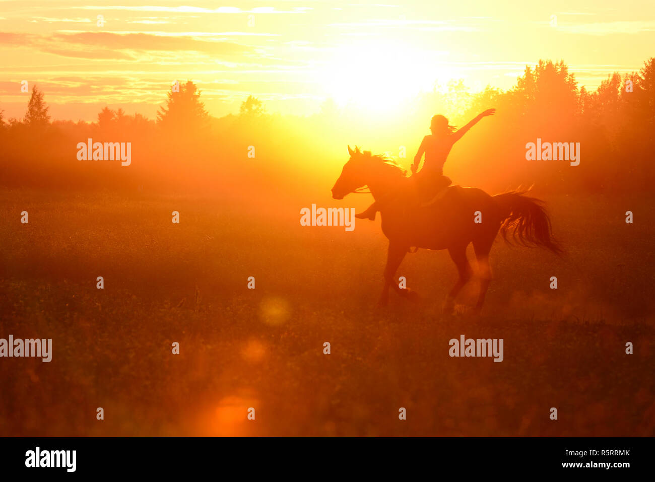 Trick riding women galloping on horse in the rays of setting sun Stock ...