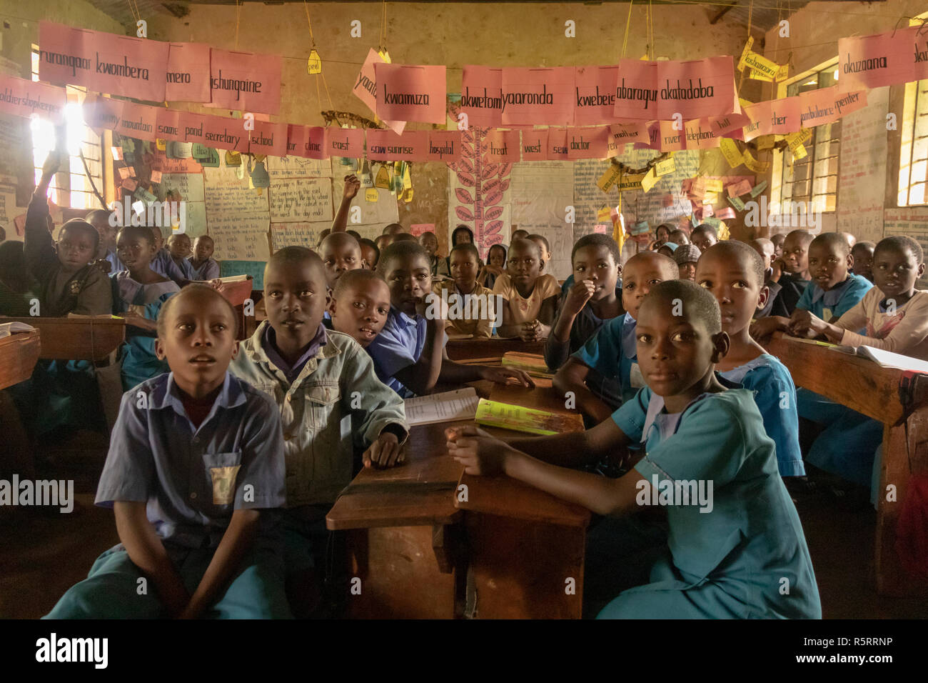 schoolchildren in primary school, Bigodi, western Uganda, Africa Stock Photo