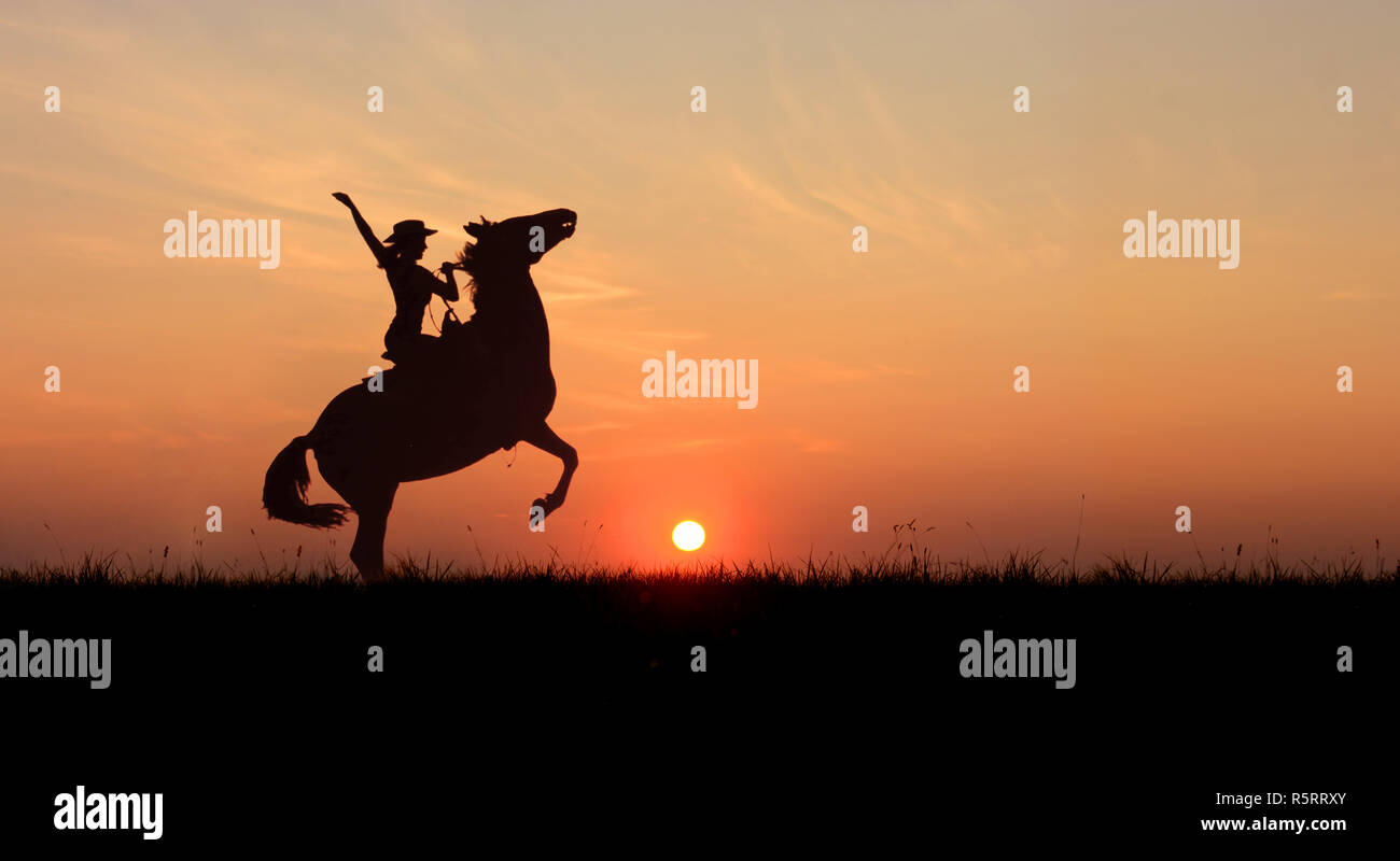 Cowgirl riding a horse, rearing up at sunset. Stallion standing on hind legs at horizon line with setting sun. Stock Photo