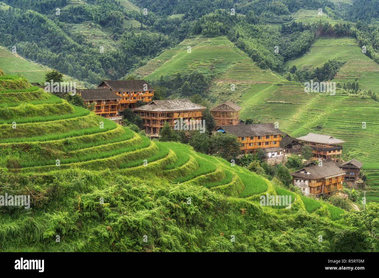 Dragon back bones rice hi-res stock photography and images - Alamy
