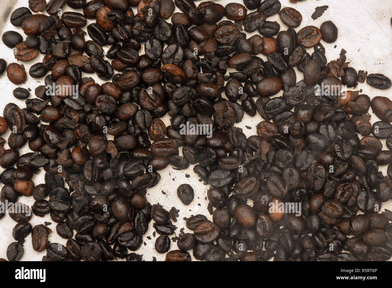 freshly roasted robusta coffee beans on pan in village of Bogodi