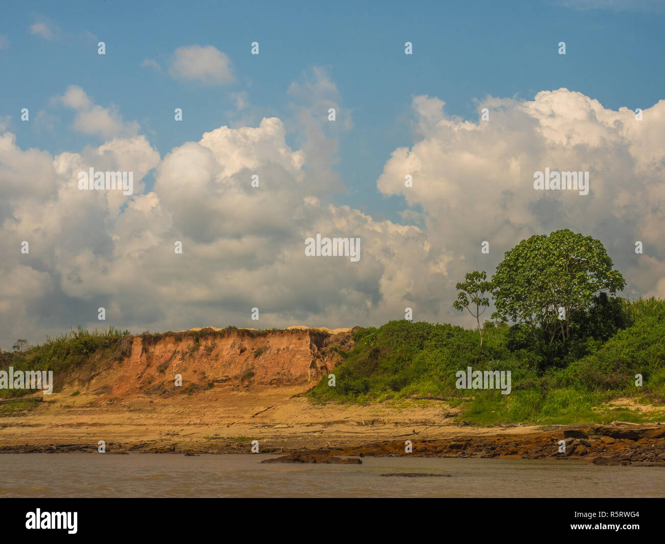 High bank of the Amazon river during the low water season. Amazonia