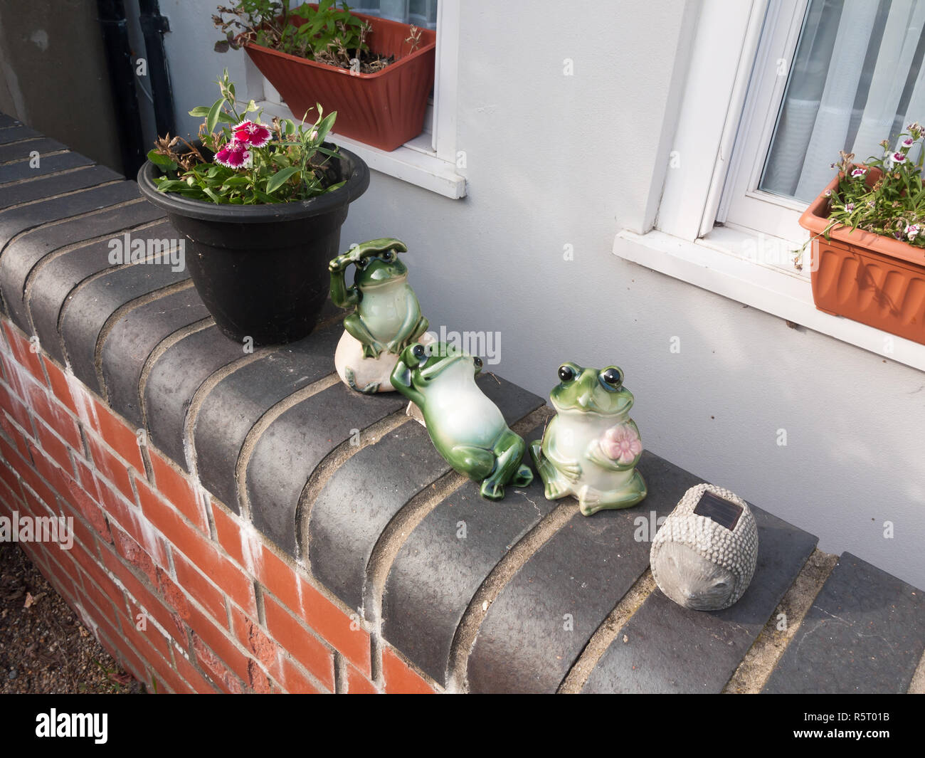 funny frog statues outside house on front wall Stock Photo