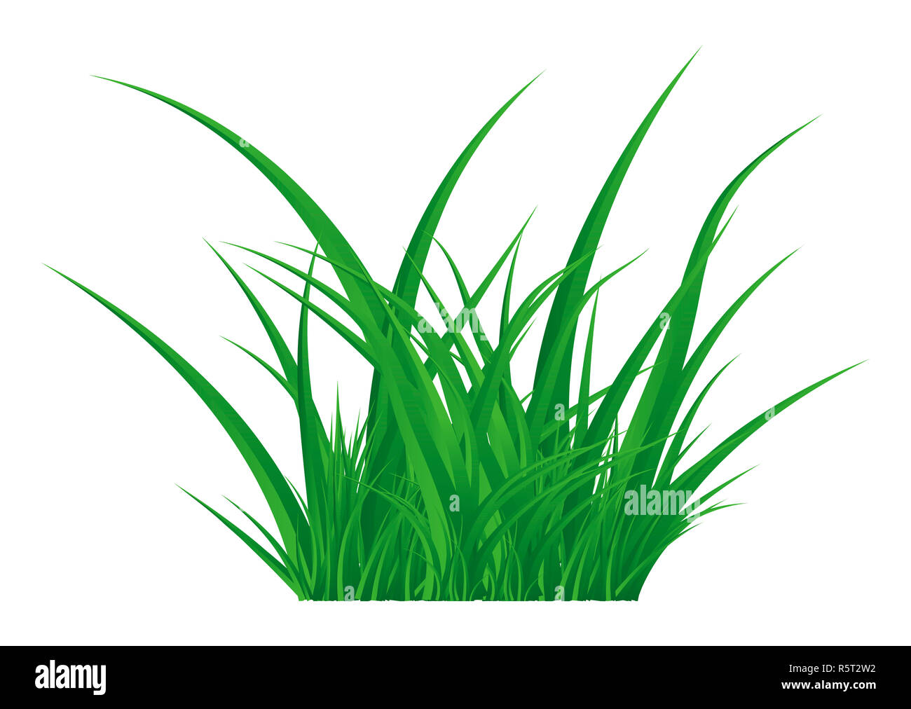 Green grass isolated vector symbol icon design. Stock Photo