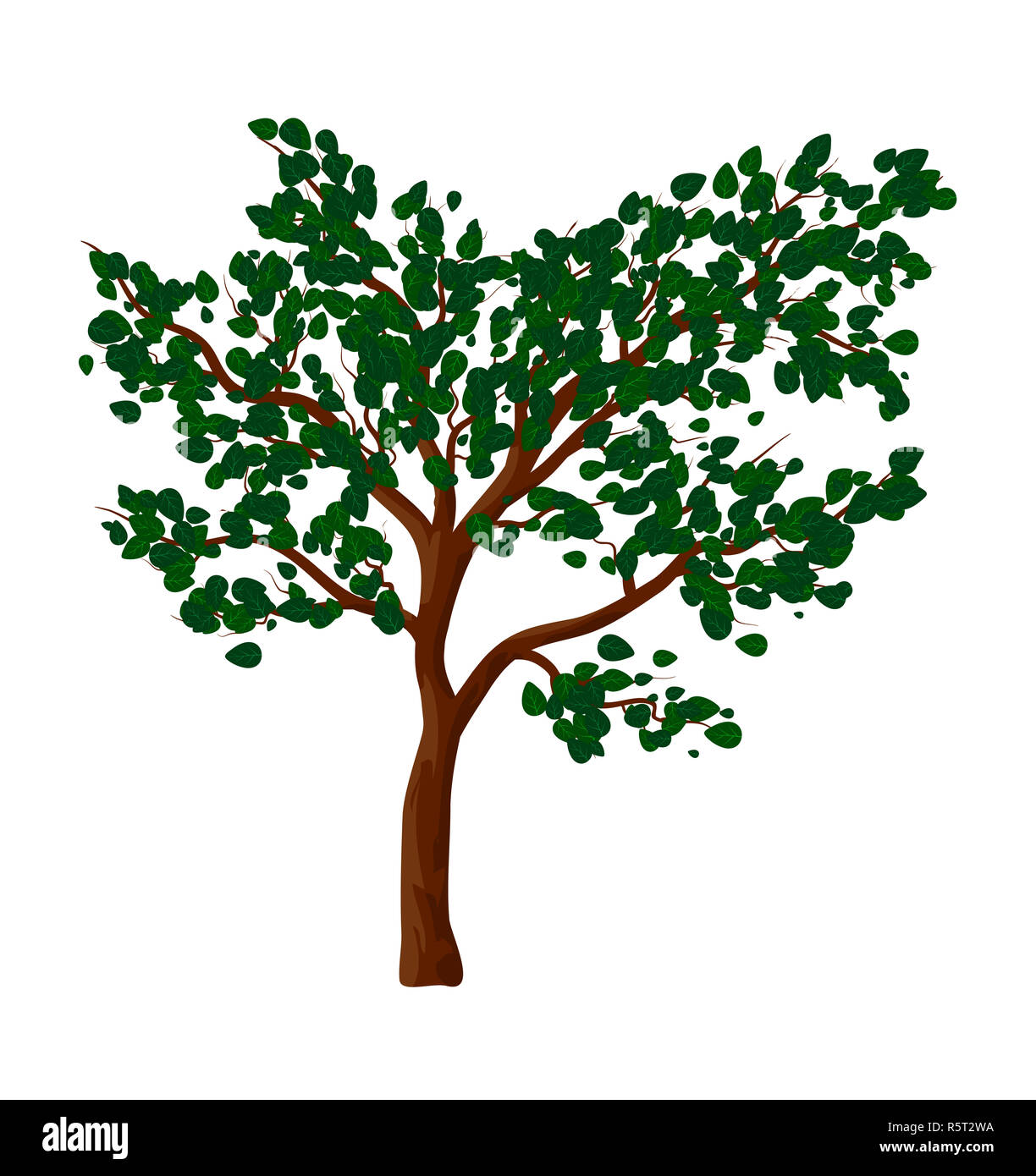 Green tree isolated vector symbol icon design Stock Photo - Alamy