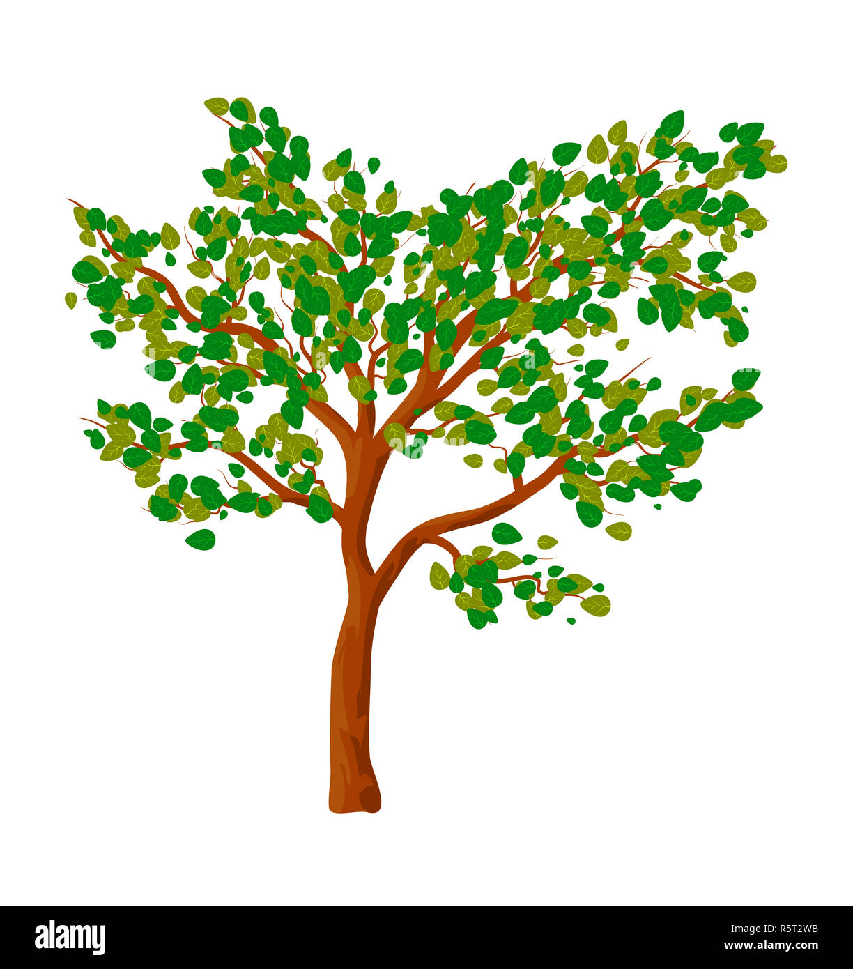 Green tree isolated vector symbol icon design Stock Photo - Alamy