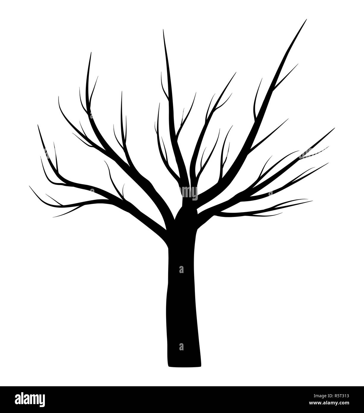 bare tree winter vector symbol icon design Stock Photo - Alamy