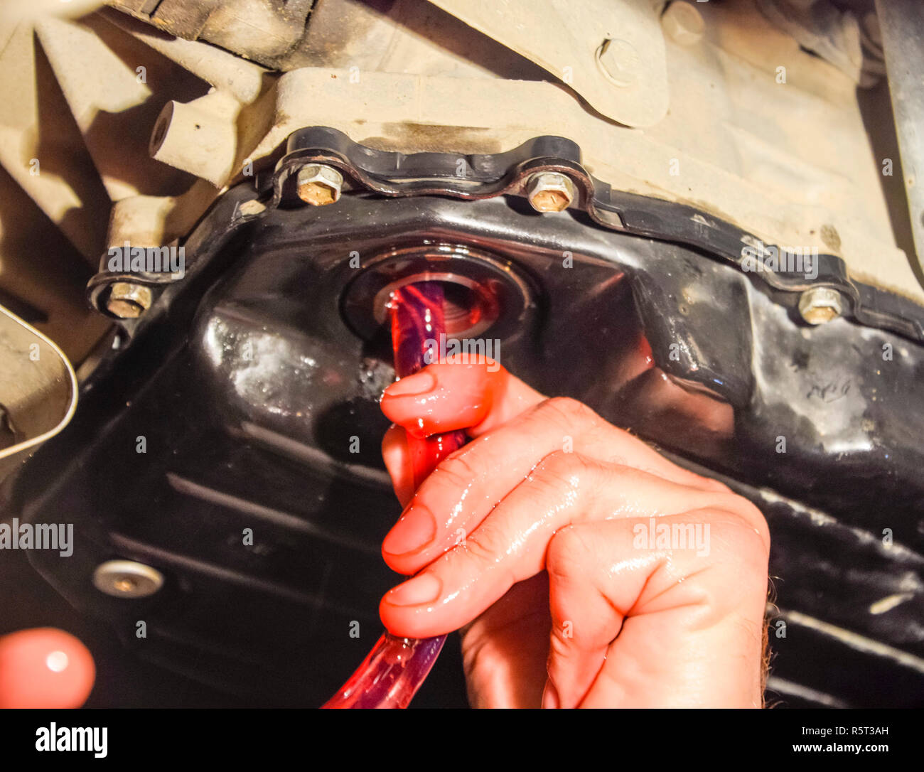 Oil change in automatic transmission. Filling the oil through the hose. Car maintenance station. Red gear oil. The hands of the car mechanic in oil Stock Photo