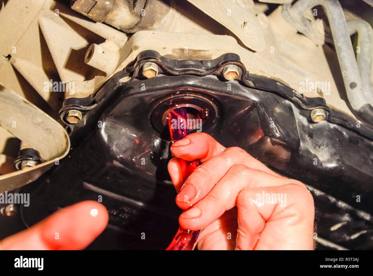 Oil change in automatic transmission. Filling the oil through the hose. Car maintenance station. Red gear oil. The hands of the car mechanic in oil Stock Photo