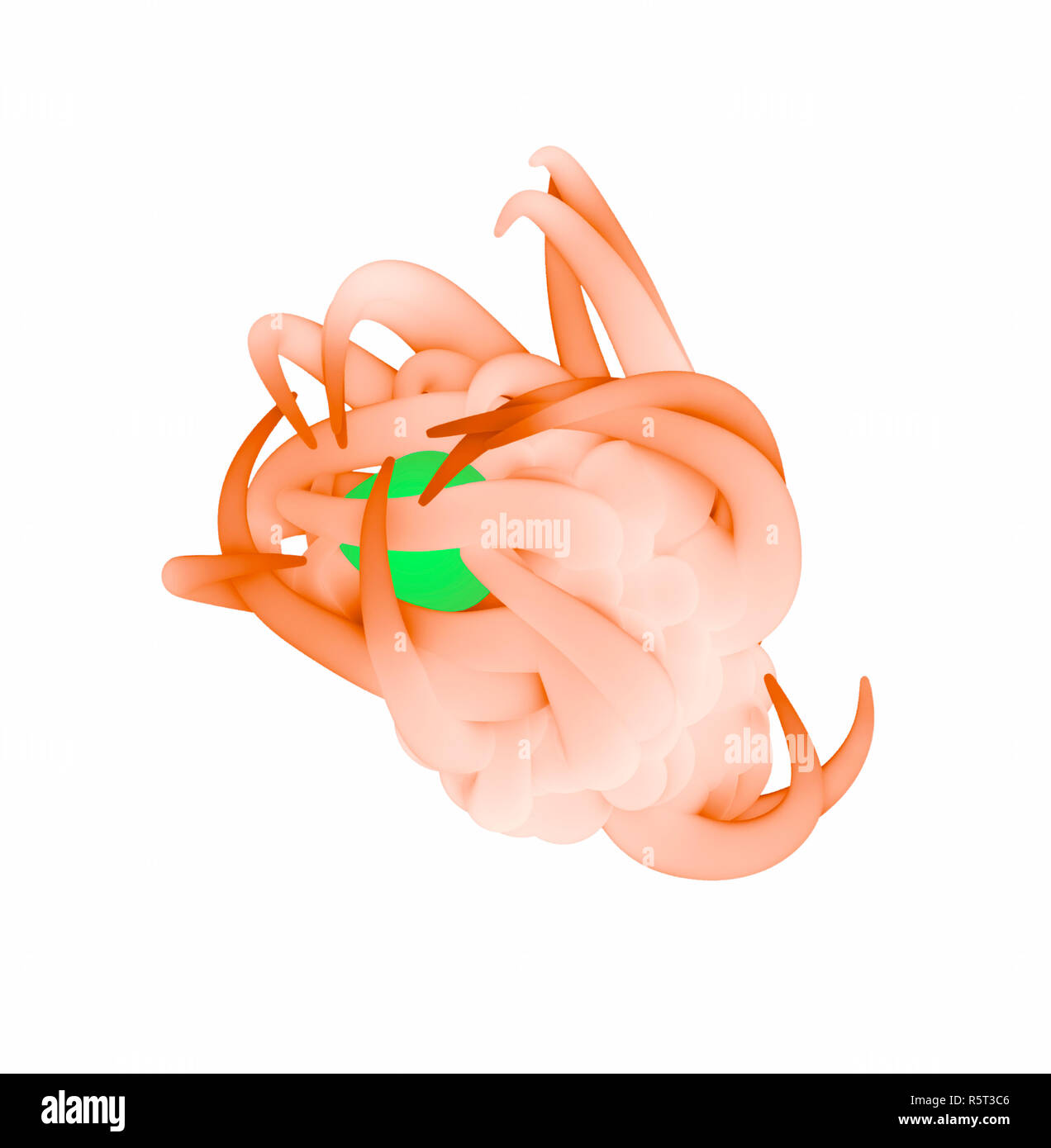 Human t cell virus hi-res stock photography and images - Alamy