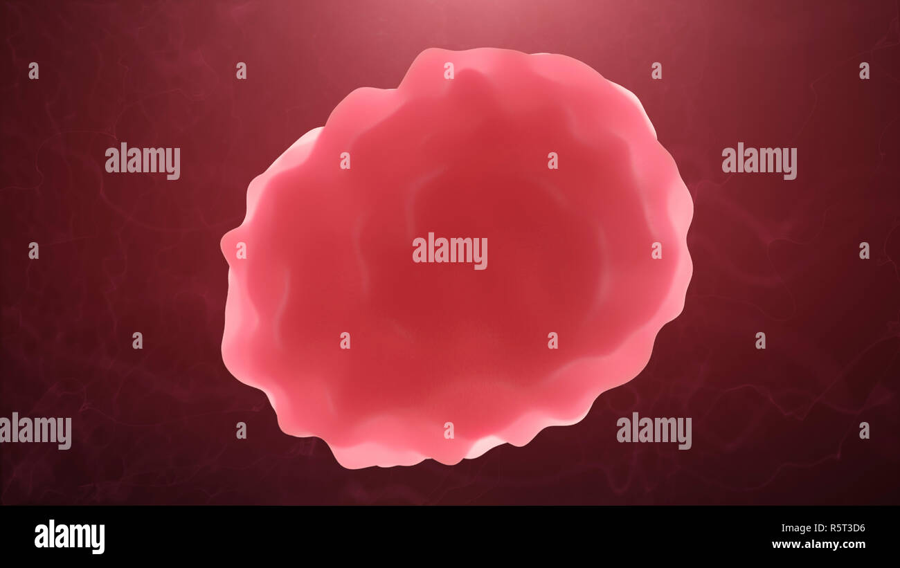 Medical Illustration Of White Blood Cell Leukocyte. Infection And