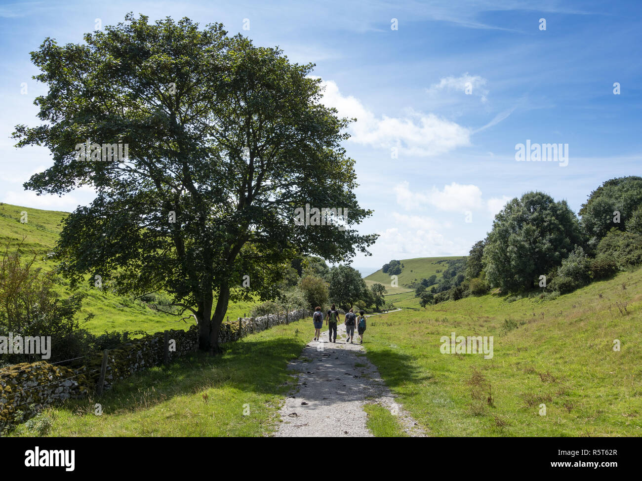 The walk from Kingston to Chapman's Pool on the Isle of Purbeck, Dorset, England, UK Stock Photo