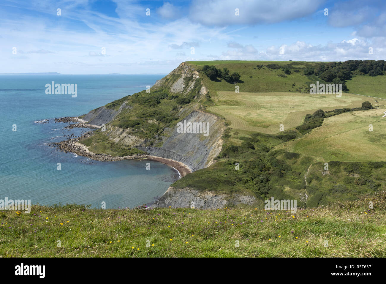 View from Emmetts Hill over Chapman's Pool on the Isle of Purbeck, Dorset, England, UK Stock Photo