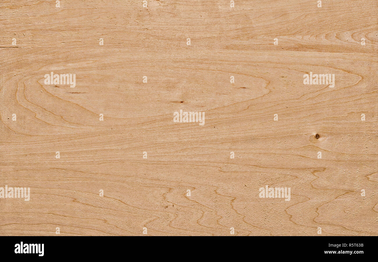 linde plywood Stock Photo
