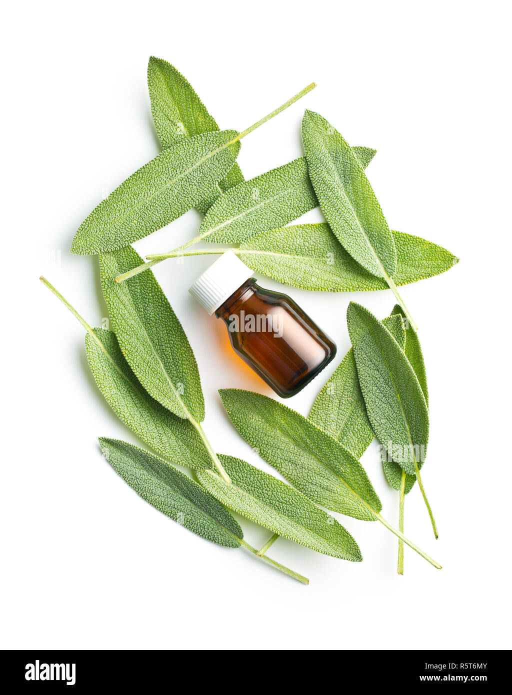 Bottle of essential sage oil Stock Photo Alamy