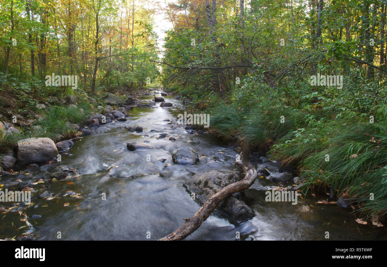 Forest River Water Creek Landscape Outdoor Peaceful Panorama Stock Photo Alamy