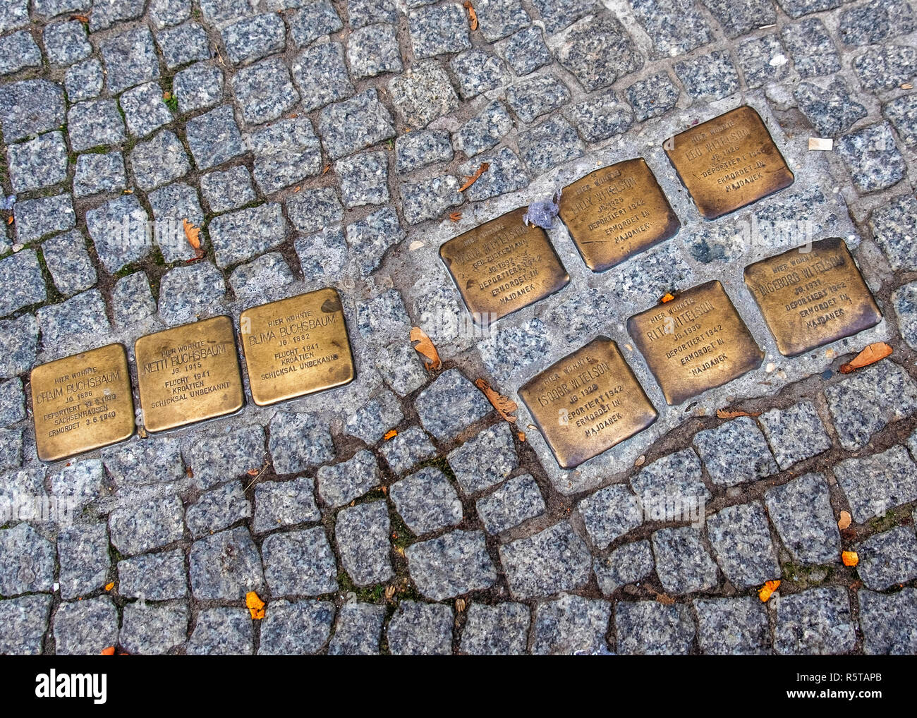 Berlin,Mitte. Stolpersteine, Stumbling block memorials in pavement remember victims of the Nazis who lived at 19 Almstadtstasse Stock Photo