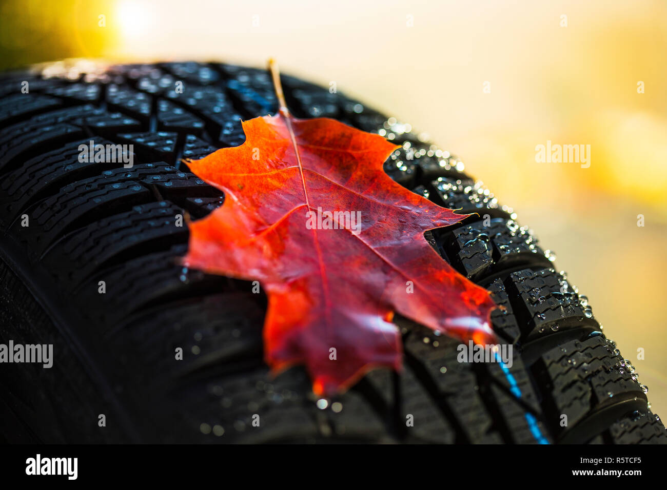 winter tires Stock Photo