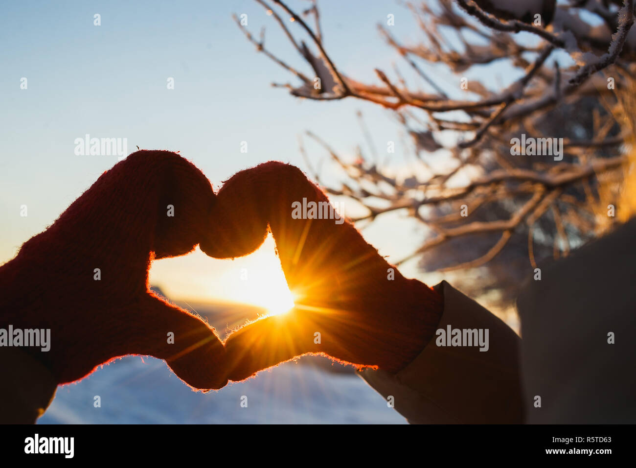 Heart shape symbol of the women mittens in winter frosty sunset. Concept of winter, dating, valentines day and love. Stock Photo