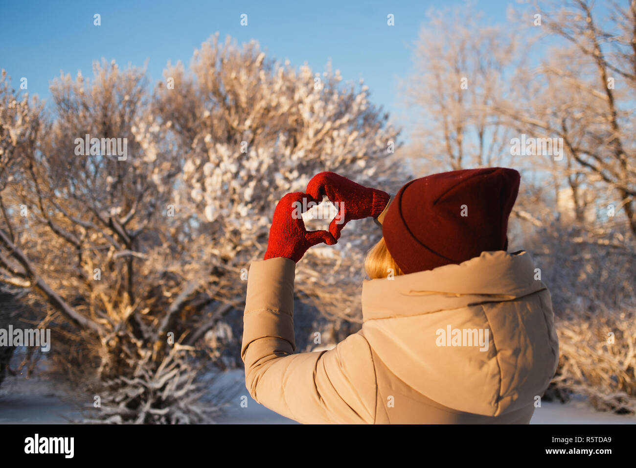 Heart shape symbol of the women mittens in winter frosty day with bushes covered snow on background. Concept of winter, good weather, lifestyle, dating and love. Stock Photo