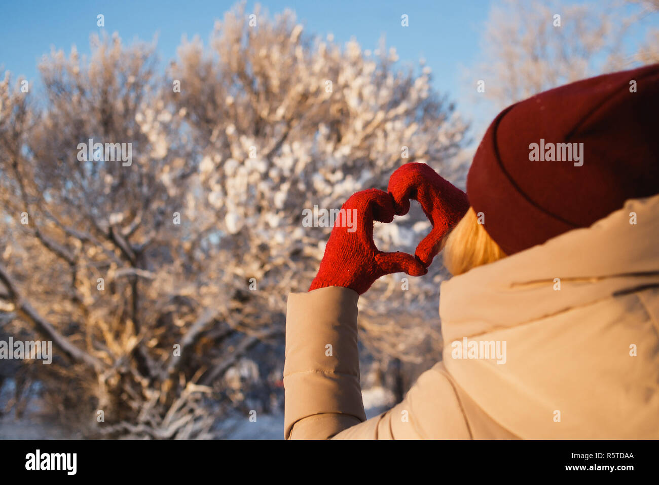 Heart shape symbol of the women mittens in winter frosty day with bushes covered snow on background. Concept of winter, good weather, lifestyle, dating and love. Stock Photo