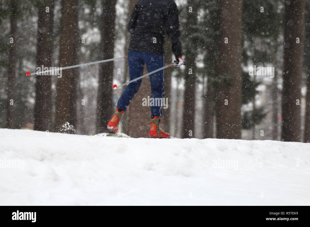 Particular of Crosscountry skiing classic technique practiced by woman Stock Photo Alamy