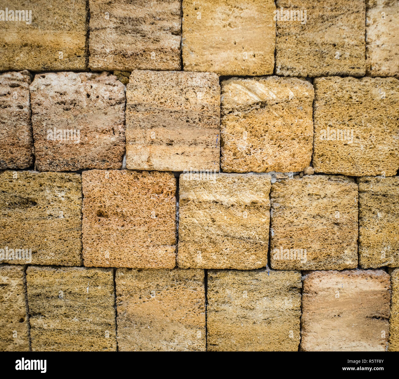 Shellfish  bricks texture with aged weathered elements Stock Photo