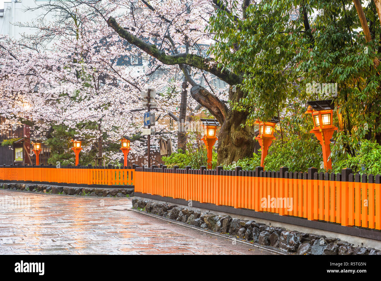 Kyoto, Japan along Shirakawa Dori Street in the spring season. Stock Photo