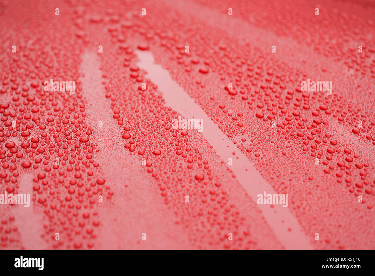 Closeup waterdrops on red ceramic coated paint surface Stock Photo