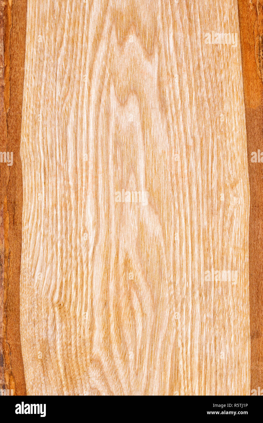 Light wood texture. Wooden background for your design. Beautiful wooden background with a bright texture. Stock Photo