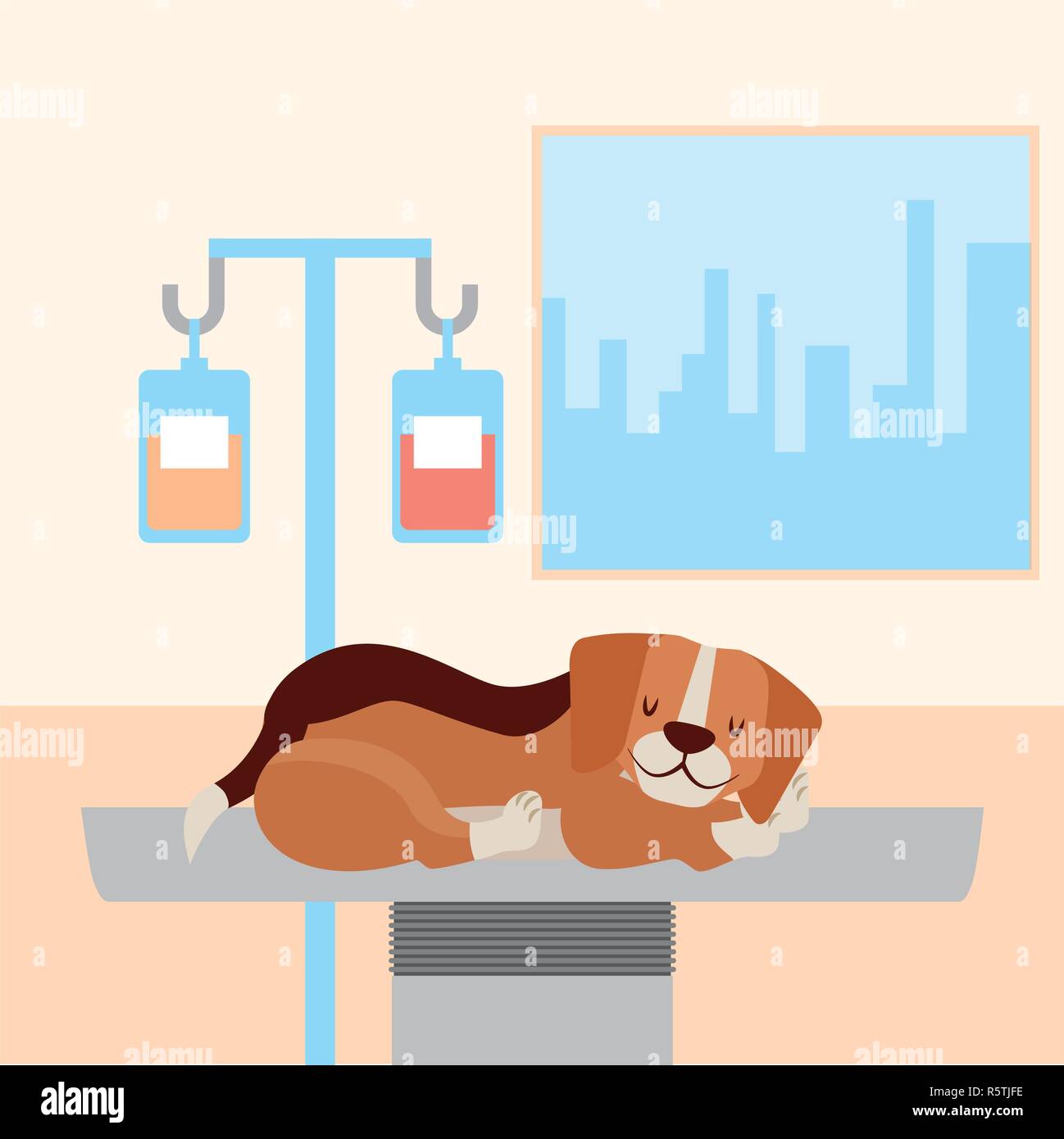 dog with iv stand medicine veterinary clinic petcare vector
