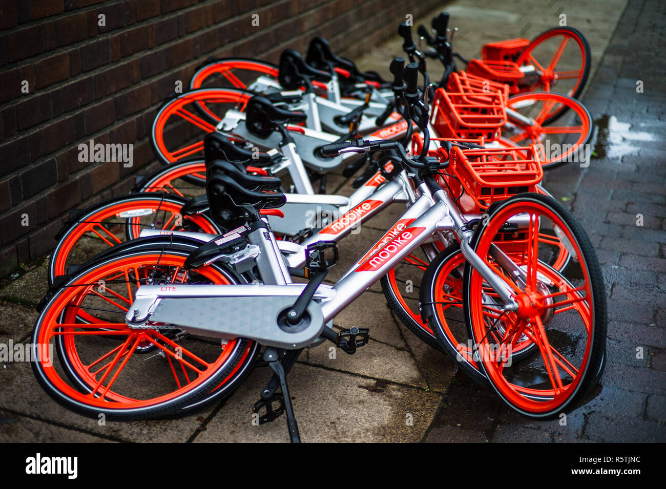 Mobike dockless hire bikes in Cambridge UK - Mobike is a Chinese bike hire company rolling out across the UK Stock Photo