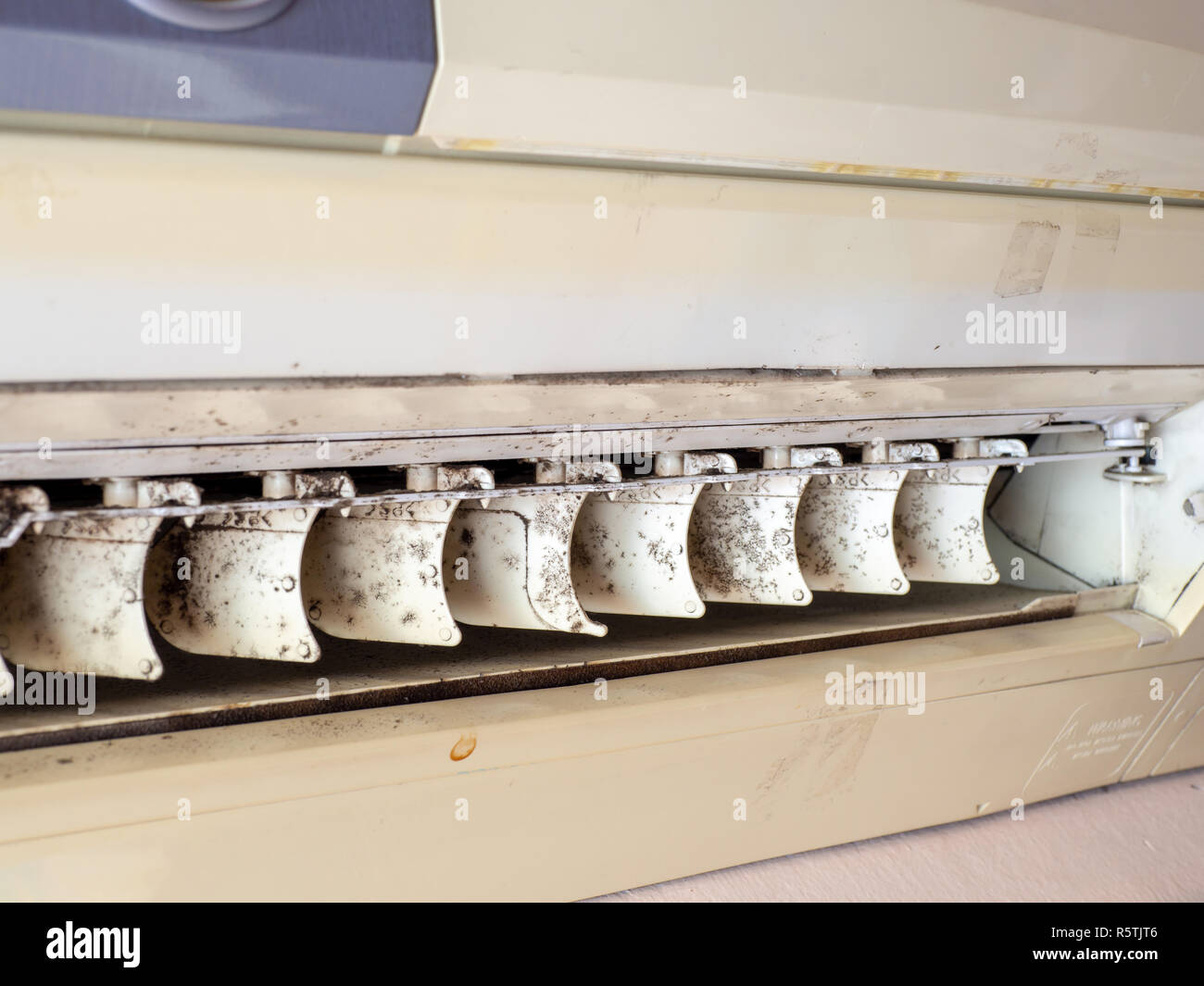 close up mold in air conditioner system. Danger and the cause of