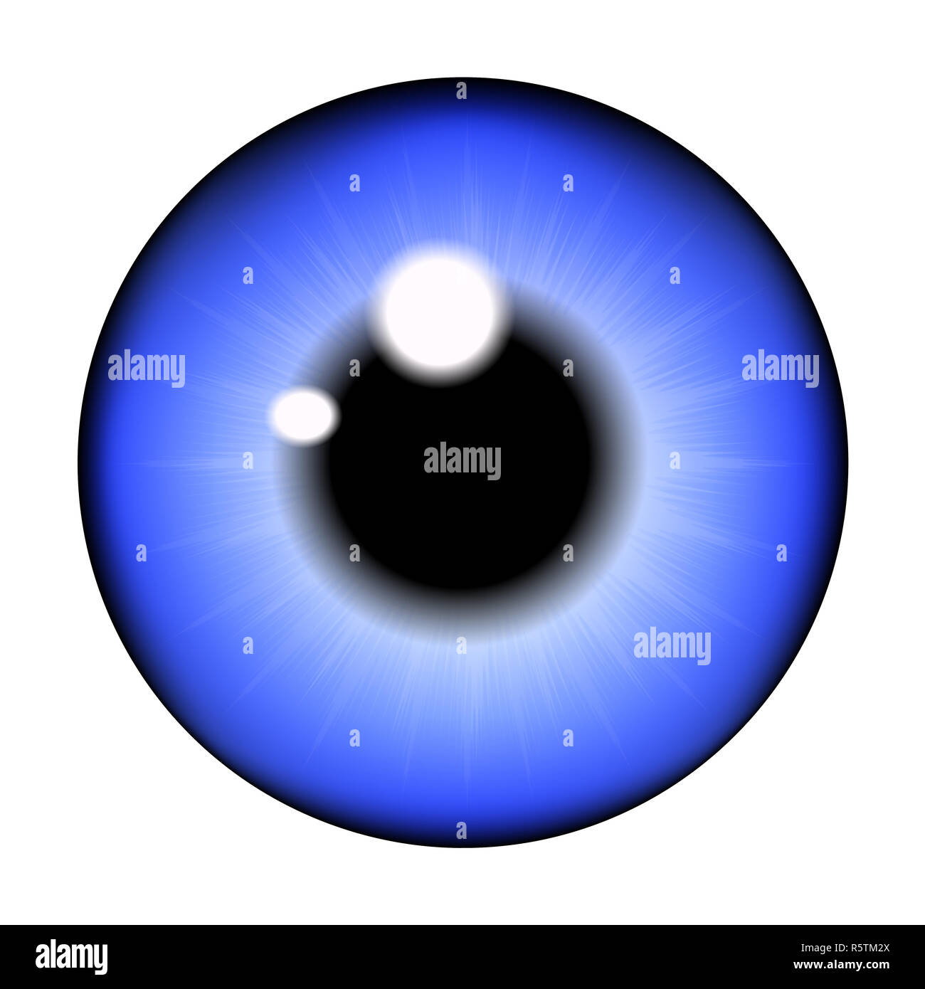 The pupil of the eye, eye ball. Realistic vector illustration isolated