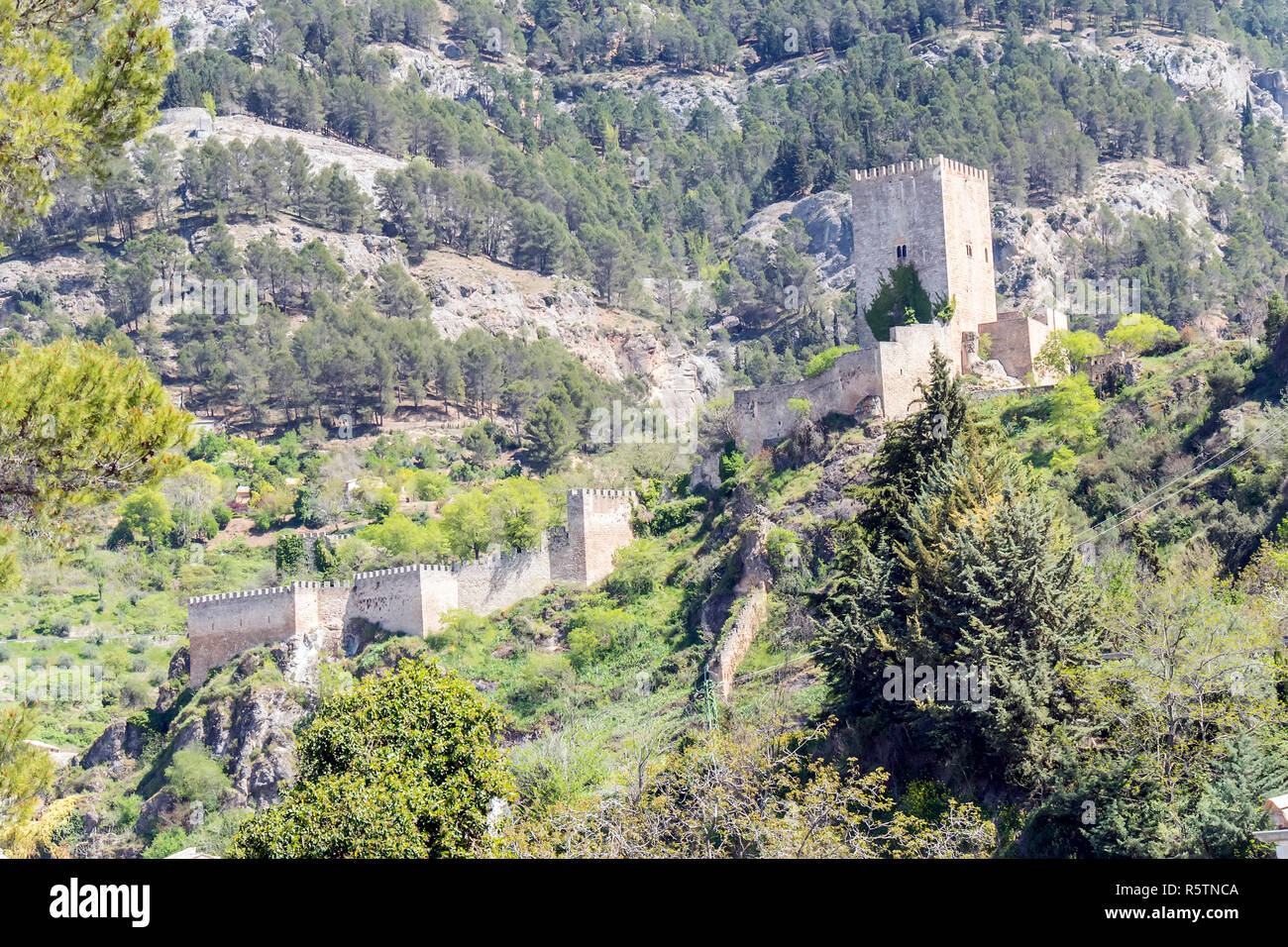 Yedra castle in Cazorla, Jaen, Spain Stock Photo