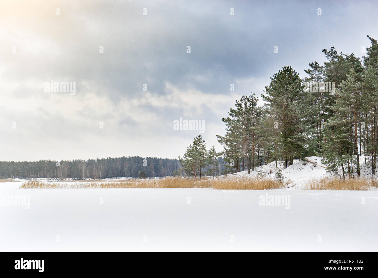 Winter landscape with pine forest and frozen lake. Frost on pines in cold bright sunny day. Stock Photo